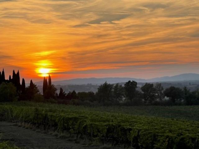 Podere Borgaruccio Peccioli Kültér fotó