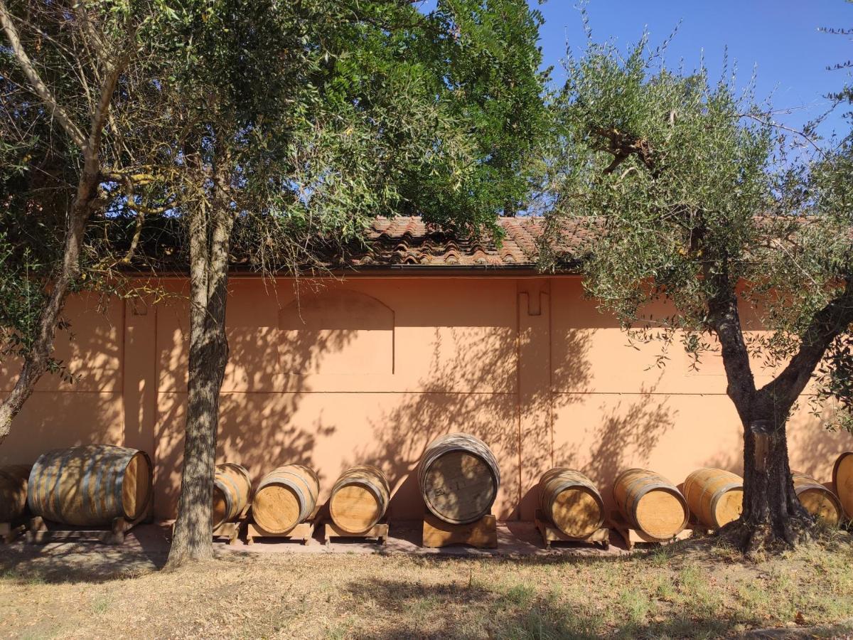 Podere Borgaruccio Peccioli Kültér fotó