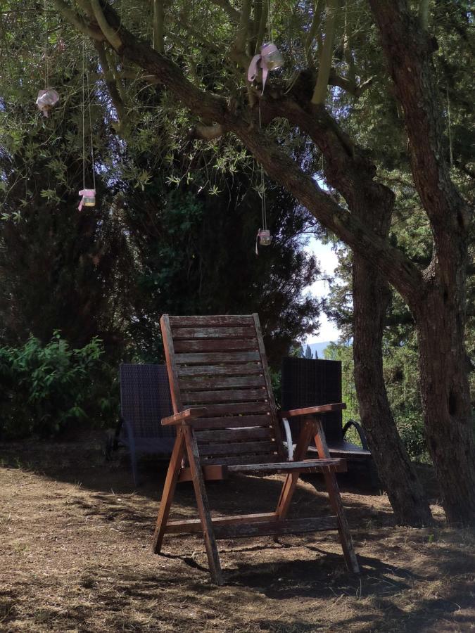 Podere Borgaruccio Peccioli Kültér fotó