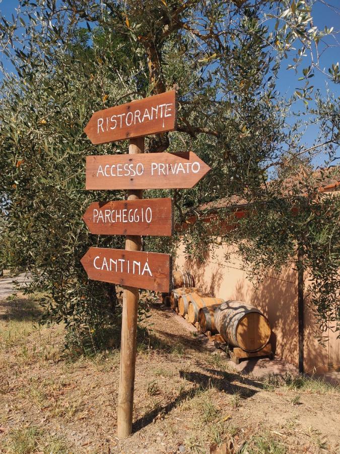 Podere Borgaruccio Peccioli Kültér fotó