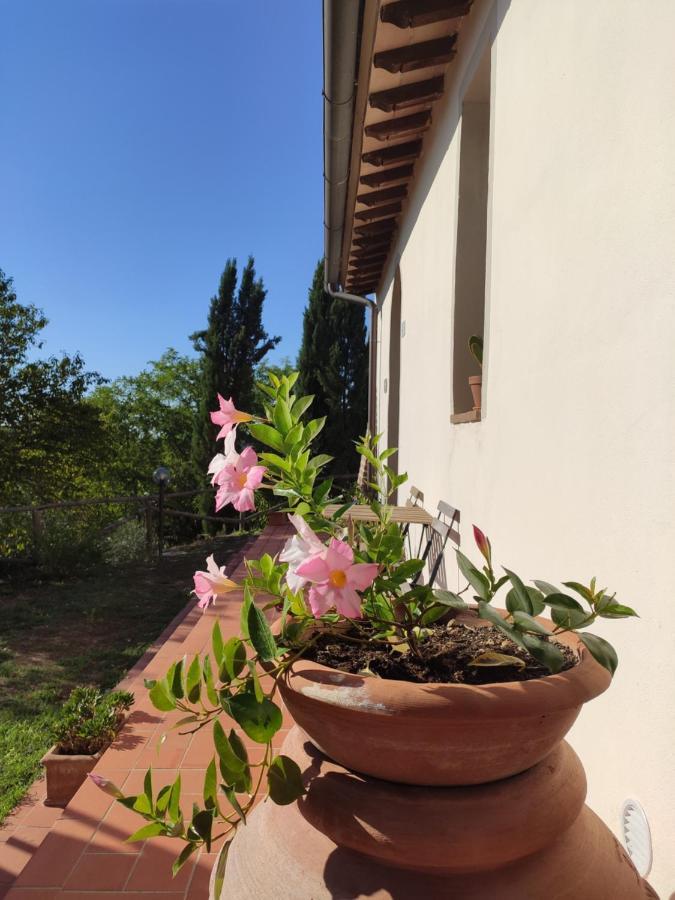 Podere Borgaruccio Peccioli Kültér fotó