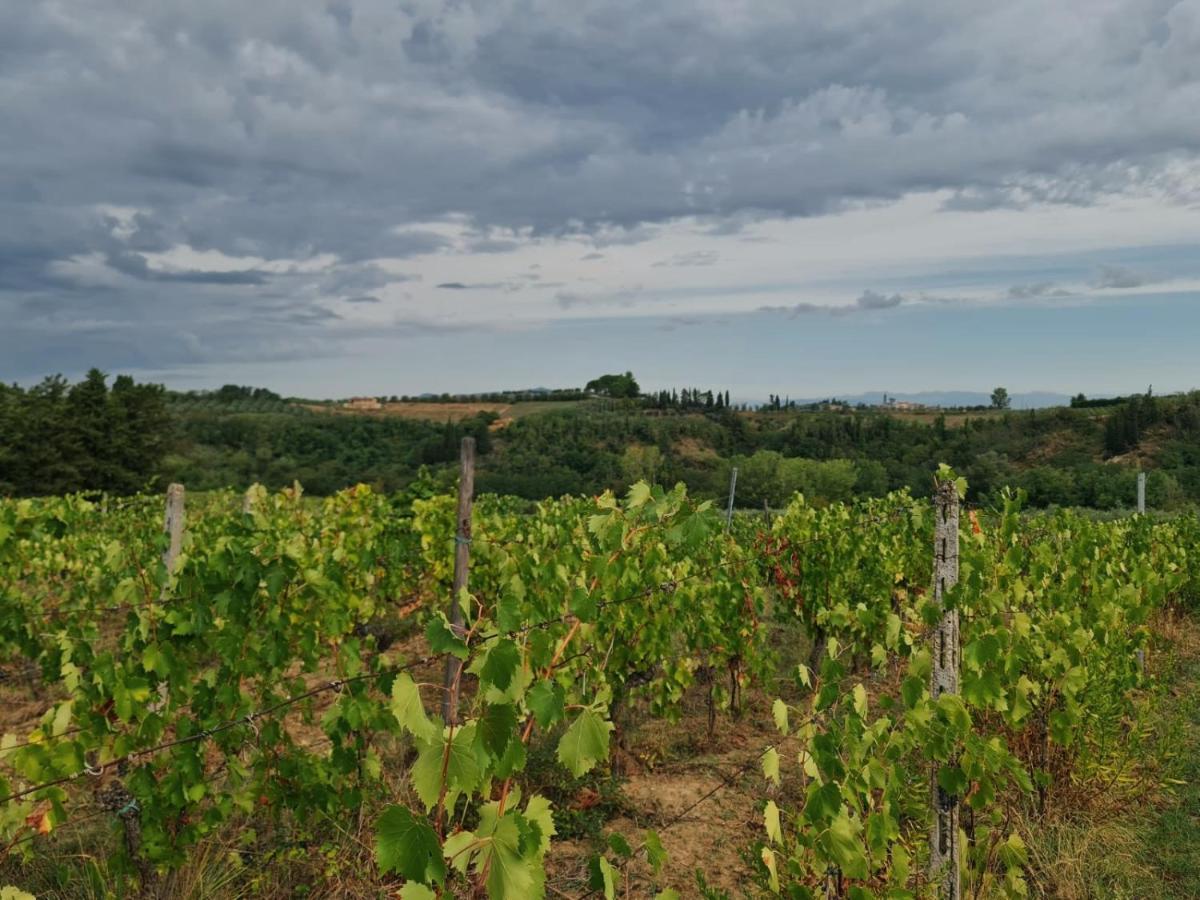 Podere Borgaruccio Peccioli Kültér fotó