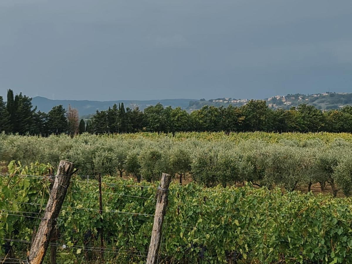 Podere Borgaruccio Peccioli Kültér fotó