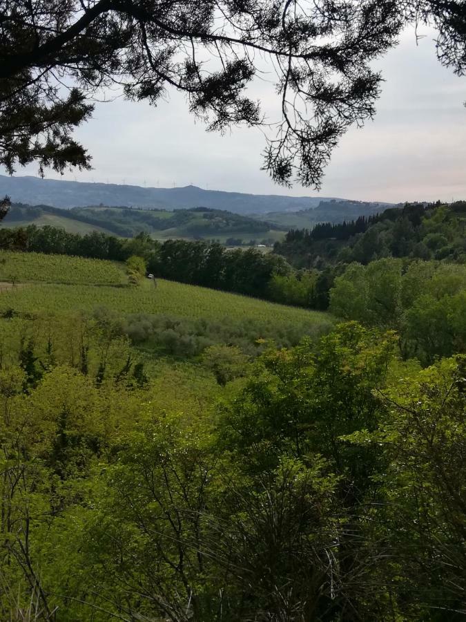 Podere Borgaruccio Peccioli Kültér fotó